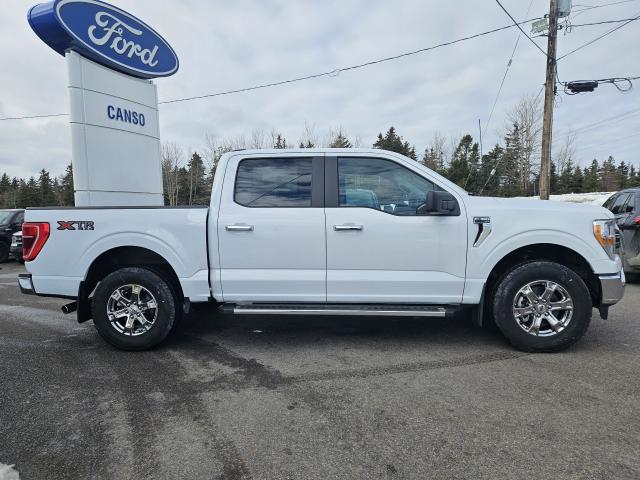 2023 Ford F-150 XLT 4WD SUPERCREW 5.5' BOX Photo2