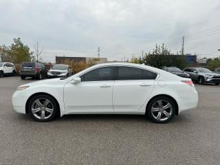 2012 Acura TL Standard - Photo #8