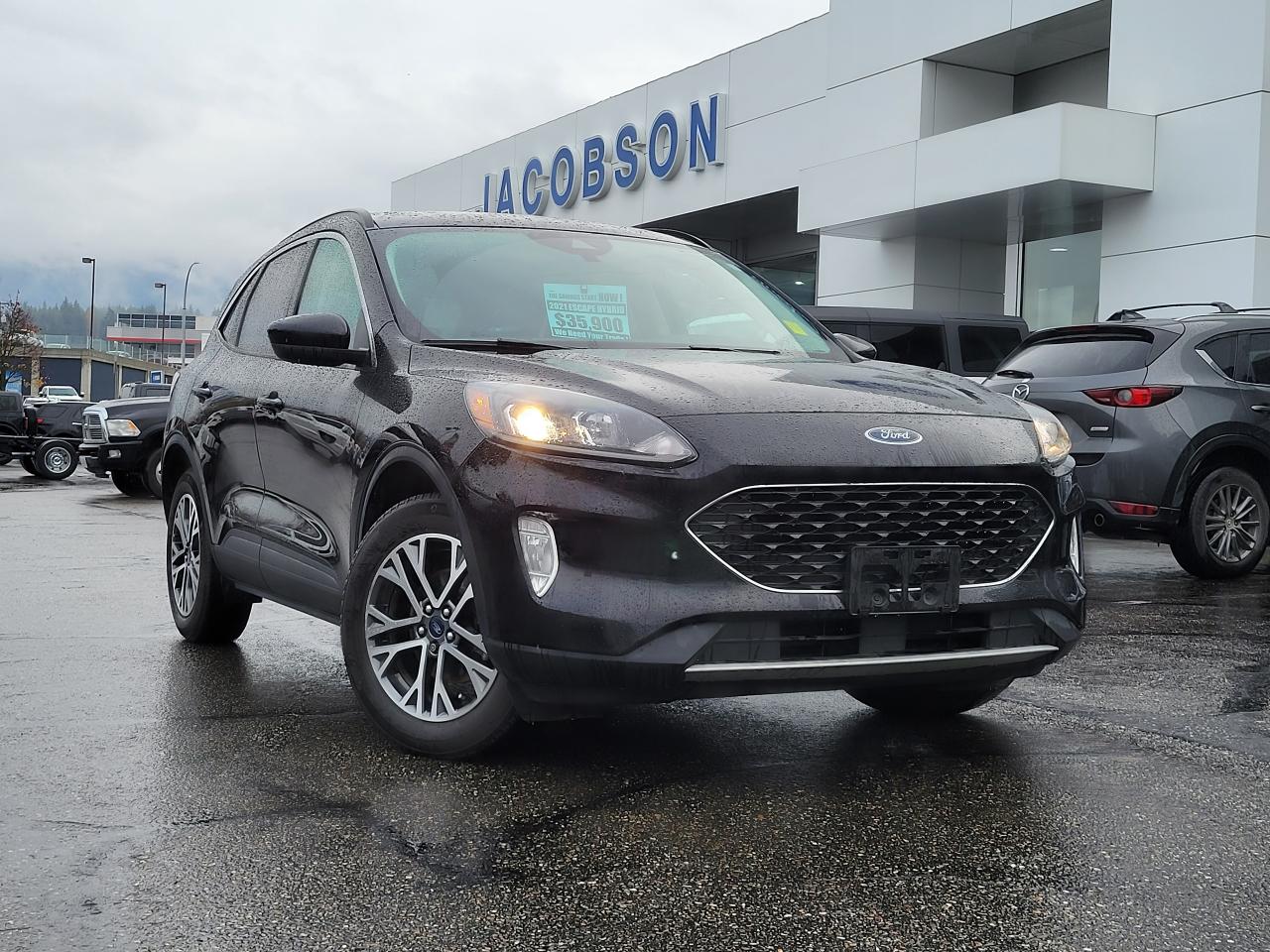 Image - 2021 Ford Escape 