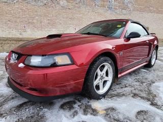 2003 Ford Mustang GT (Manual)<BR>4.6L SOHC MPI 16-VALVE V8 ENGINE<BR>-<BR>- Leather Seats<BR>- Aftermarket Radio Deck<BR>- Cruise Control<BR>- Traction Control<BR>- Air Conditioning<BR>- Remote Entry<BR>And More!<BR>-<BR>- 30 Day Powertrain Warranty on every vehicle (Under 200 000KM)<BR>- Vehicle Lifetime 1/2 Price oil changes with every purchase<BR>- 1 Year complimentary Road Hazard Protection<BR>- 1 year of worry-free coverage with our complimentary insurance on finance contracts!<BR>- <BR>With all these amazing coverages, Standard with every purchase; have peace of mind that you can be confident in your next purchase with us. Stop in at Prairie Auto Sales today or send us a message and our amazing team will be happy to help!