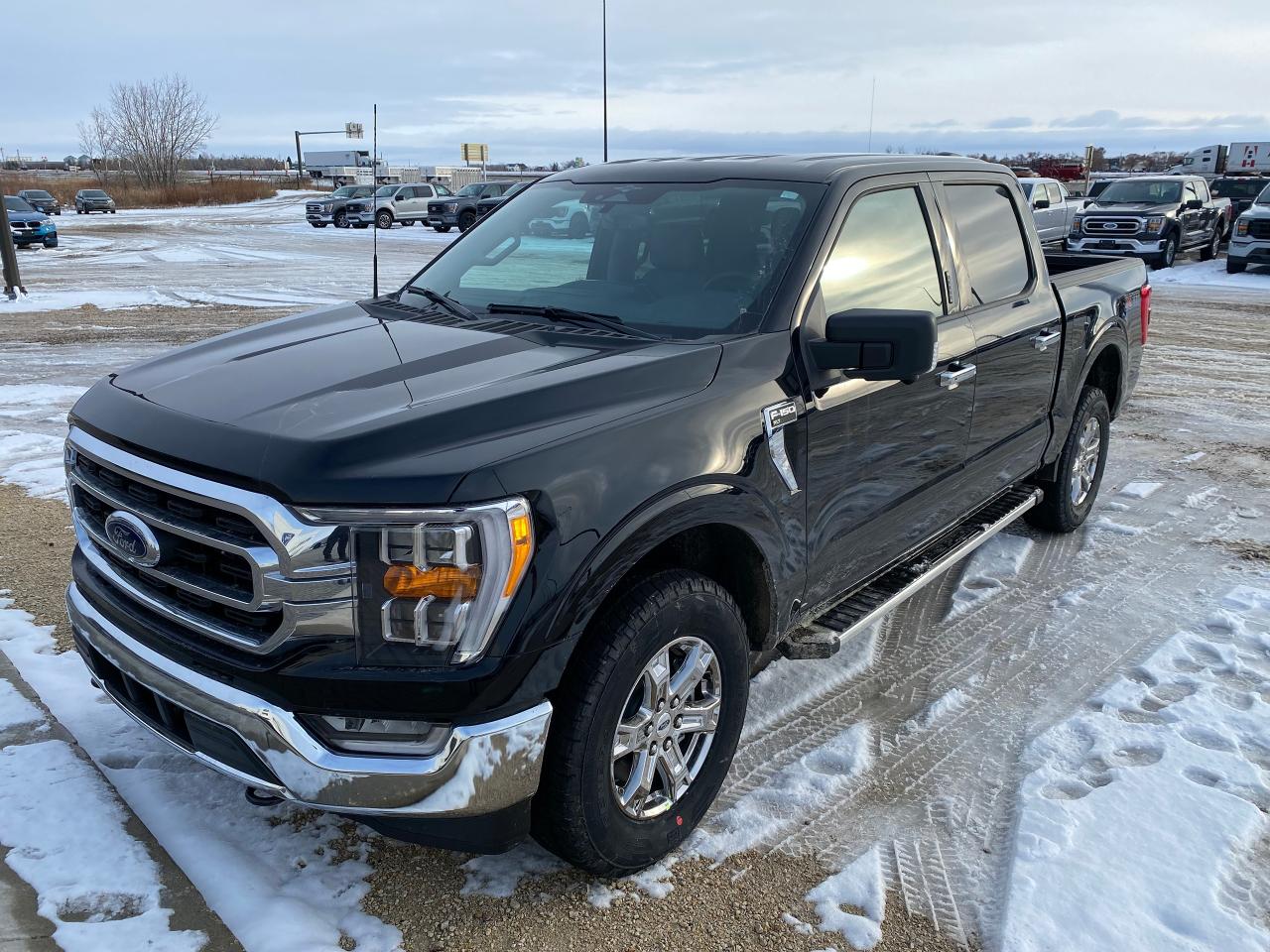 2023 Ford F-150 XLT 4WD SuperCrew 5.5' Box 302A Photo0