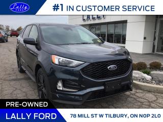 Used 2024 Ford Edge ST Line for sale in Tilbury, ON