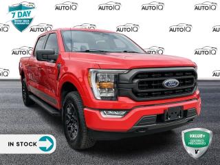 <p><strong>2021 Ford F-150 XLT</strong><p>

<p>2.7L EcoBoost Engine, 10-Speed Automatic</p>

<ul>
  <li>4WD, 10-Way Power Driver & Passenger Seats, 2-Bar Style Chrome Surround Grille w/Black Accents</li>
  <li>3.55 Axle Ratio, 4-Wheel Disc Brakes, 6 Speakers, 6 Chrome Running Board, 8 Productivity Screen</li>
  <li>ABS brakes, Accent-Colour Step Bars, Air Conditioning, Alloy wheels, AM/FM radio</li>
  <li>AppLink/Apple CarPlay and Android Auto, Auto High-beam Headlights, BLIS w/Trailer Tow Coverage</li>
  <li>BoxLink Cargo Management System, Class IV Trailer Hitch Receiver, Cloth 40/20/40 Front Seat</li>
  <li>Connected Built-In Navigation, Dual Zone Automatic Temperature Control, Electronic Stability Control</li>
  <li>SYNC 4 911 Assist, Equipment Group 302A High, Exterior Parking Camera Rear, Heated mirrors</li>
  <li>Integrated Trailer Brake Controller, Leather-Wrapped Steering Wheel, LED Box Lighting</li>
  <li>Low tire pressure warning, Power-Sliding Rear Window, Pro Trailer Backup Assist</li>
  <li>Rear Under-Seat Storage, Remote Start System w/Remote Tailgate Release, Speed control</li>
  <li>Sport Cloth 40/Console/40 Front-Seats, SYNC 4 w/Enhanced Voice Recognition, Trailer Tow Package</li>
  <li>Tray Style Floor Liner, Trip computer, Variably intermittent wipers, Voltmeter</li>
  <li>Wheels: 17 Silver Painted Aluminum, XLT Sport Appearance Package, XTR 4x4 Decal, XTR Package</li>
</ul>

<p><strong>XLT 2.7L V6 EcoBoost 4WD 10-Speed Automatic</strong></p>
<p>Race Red</p>

SPECIAL NOTE: This vehicle  is reserved for AutoIQs Retail Customers Only. Please, No Dealer Calls 
<br/><br/>
Dont Delay! With over 140 Sales Professionals Promoting this Pre-Owned Vehicle through 11 Dealerships Representing 11 Communities Across Ontario, this Great Value Wont Last Long!
<br/><br/>
AutoIQ proudly offers a 7 Day Money Back Guarantee. Buy with Complete Confidence. You wont be disappointed!<p> </p>

<h4>VALUE+ CERTIFIED PRE-OWNED VEHICLE</h4>

<p>36-point Provincial Safety Inspection<br />
172-point inspection combined mechanical, aesthetic, functional inspection including a vehicle report card<br />
Warranty: 30 Days or 1500 KMS on mechanical safety-related items and extended plans are available<br />
Complimentary CARFAX Vehicle History Report<br />
2X Provincial safety standard for tire tread depth<br />
2X Provincial safety standard for brake pad thickness<br />
7 Day Money Back Guarantee*<br />
Market Value Report provided<br />
Complimentary 3 months SIRIUS XM satellite radio subscription on equipped vehicles<br />
Complimentary wash and vacuum<br />
Vehicle scanned for open recall notifications from manufacturer</p>

<p>SPECIAL NOTE: This vehicle is reserved for AutoIQs retail customers only. Please, No dealer calls. Errors & omissions excepted.</p>

<p>*As-traded, specialty or high-performance vehicles are excluded from the 7-Day Money Back Guarantee Program (including, but not limited to Ford Shelby, Ford mustang GT, Ford Raptor, Chevrolet Corvette, Camaro 2SS, Camaro ZL1, V-Series Cadillac, Dodge/Jeep SRT, Hyundai N Line, all electric models)</p>

<p>INSGMT</p>