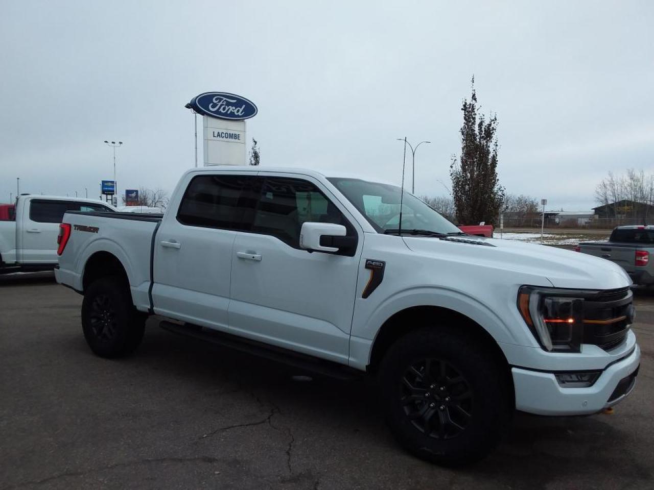 New 2023 Ford F-150 Tremor for sale in Lacombe, AB