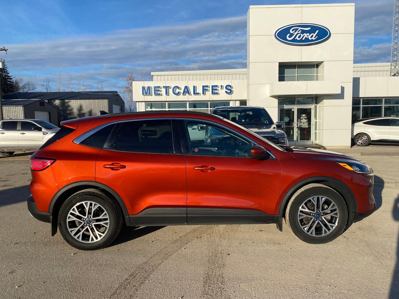 Image - 2020 Ford Escape 