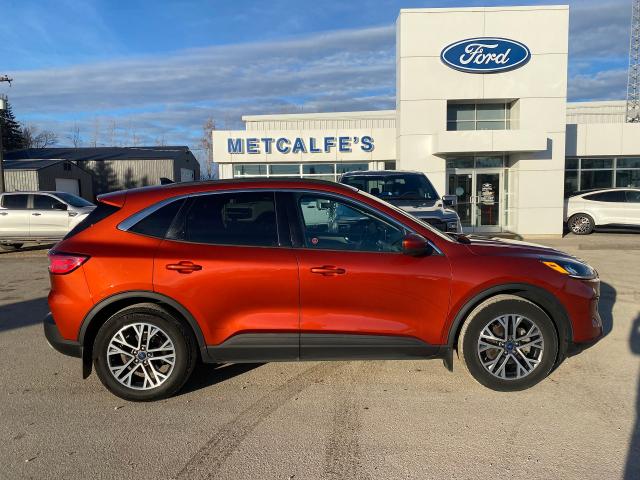 Image - 2020 Ford Escape ESCAPE SEL AWD