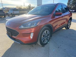 2020 Ford Escape ESCAPE SEL AWD Photo