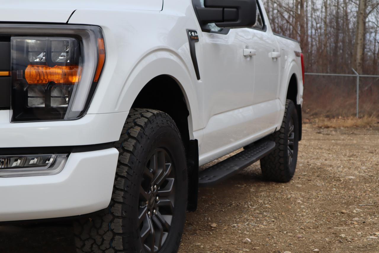 2023 Ford F-150 Tremor Photo5