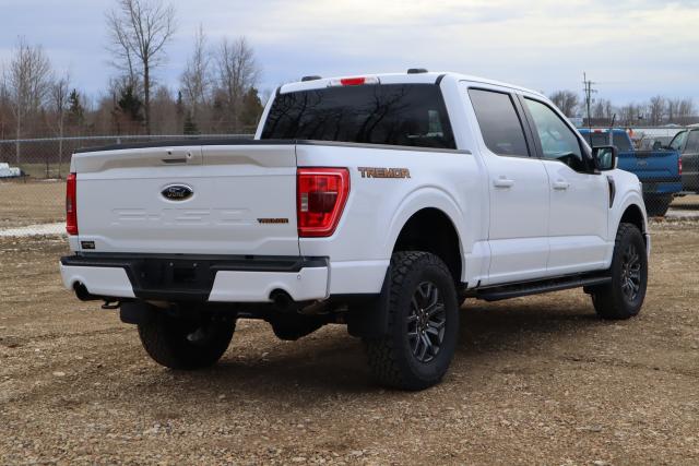 2023 Ford F-150 Tremor Photo4