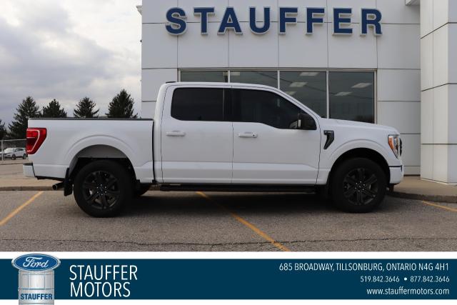 Image - 2023 Ford F-150 XLT 4WD SUPERCREW 5.5' BOX