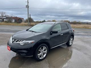 Used 2014 Nissan Murano Platinum for sale in Stouffville, ON