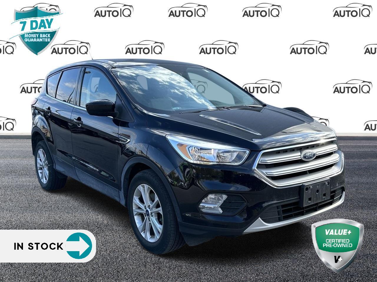 Used 2019 Ford Escape HEATED FRONT SEATS | CLEAN CARFAX for sale in St Catharines, ON