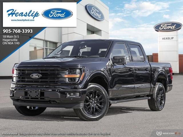 Image - 2024 Ford F-150 XLT