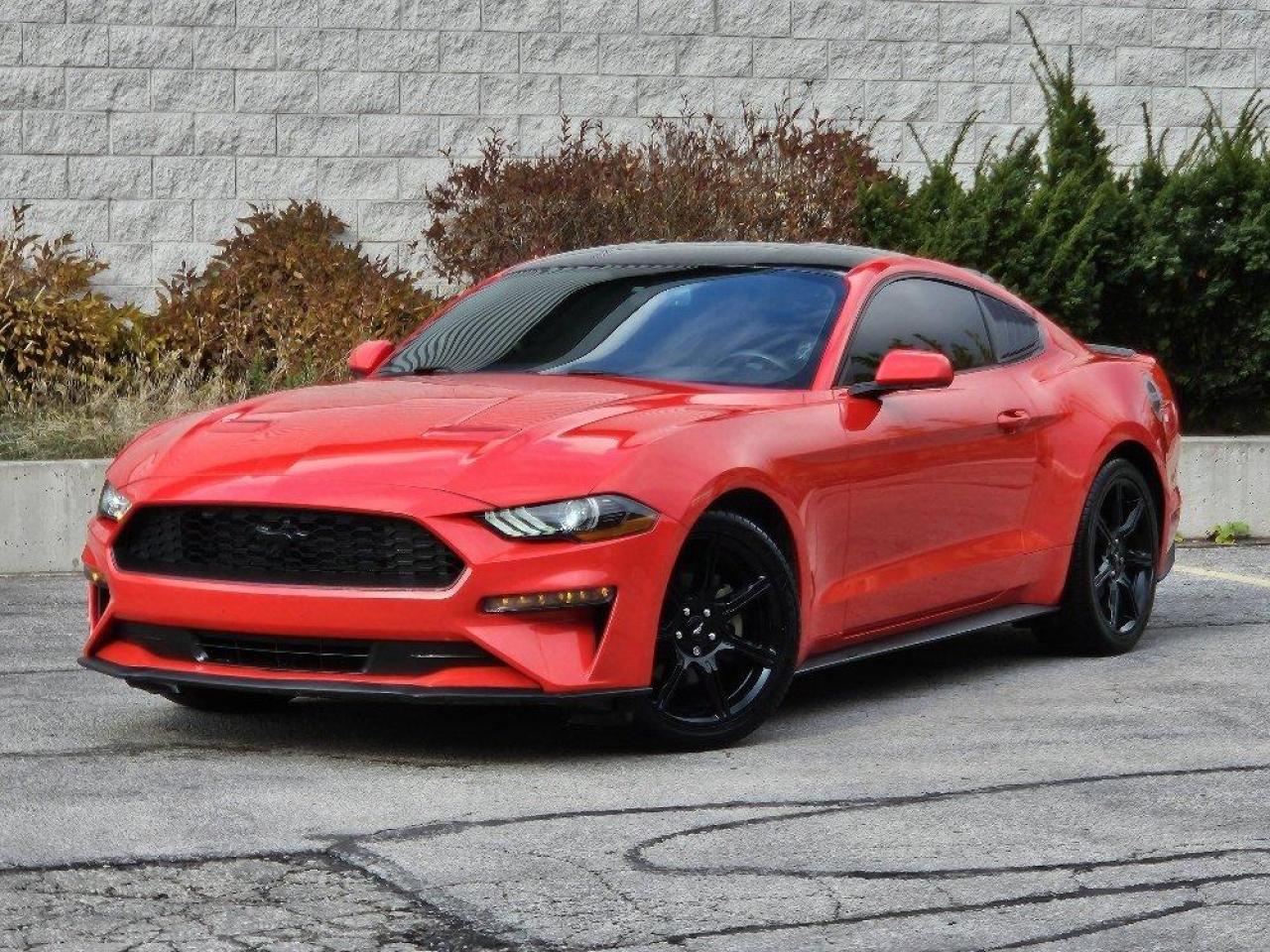 Used 2019 Ford Mustang ECOBOOST FASTBACK-AUTOMATIC-NAVIGATION-93KM for sale in Toronto, ON