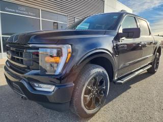New 2023 Ford F-150 XLT for sale in Pincher Creek, AB