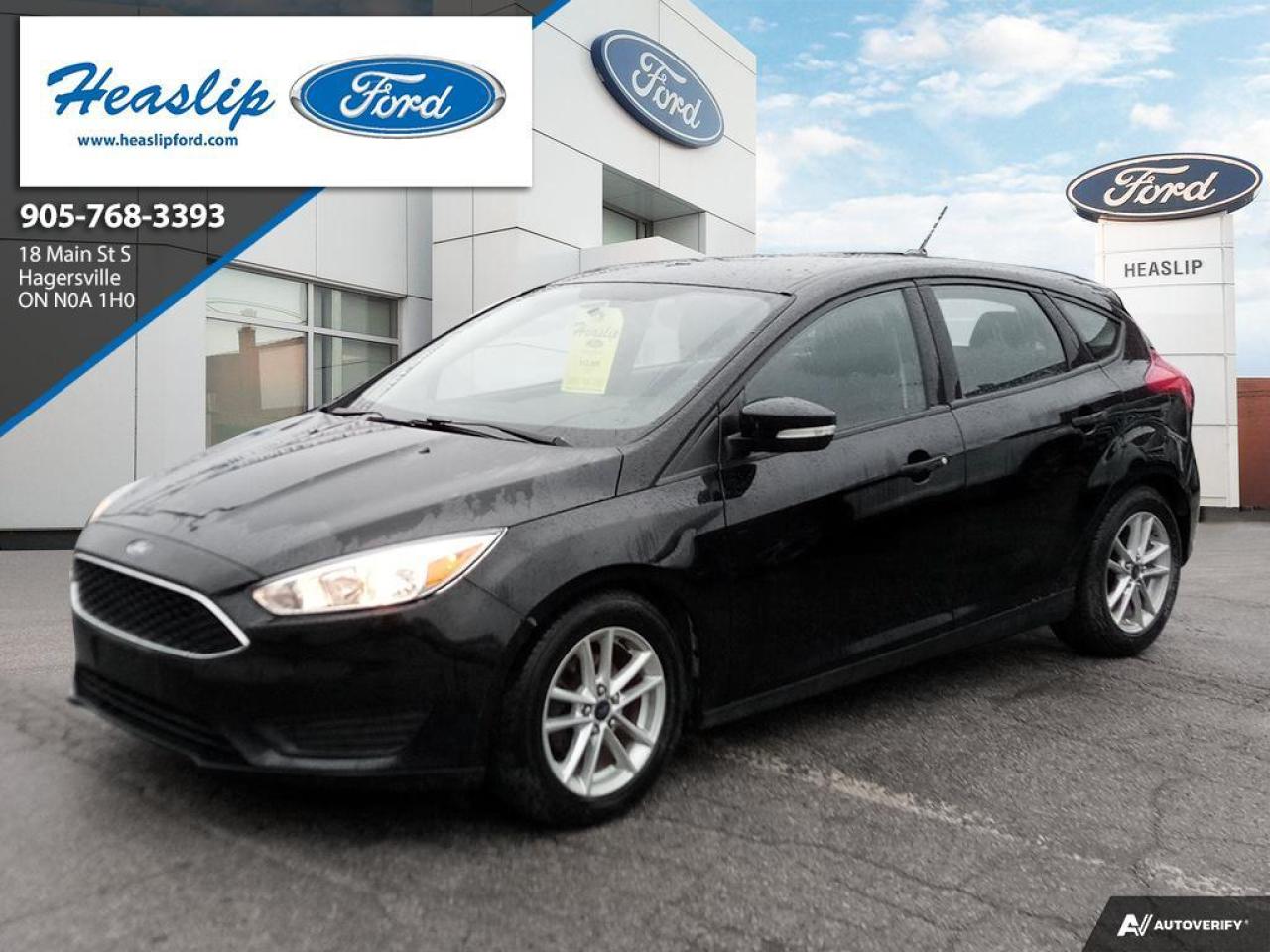 2016 Ford Focus SE Photo0