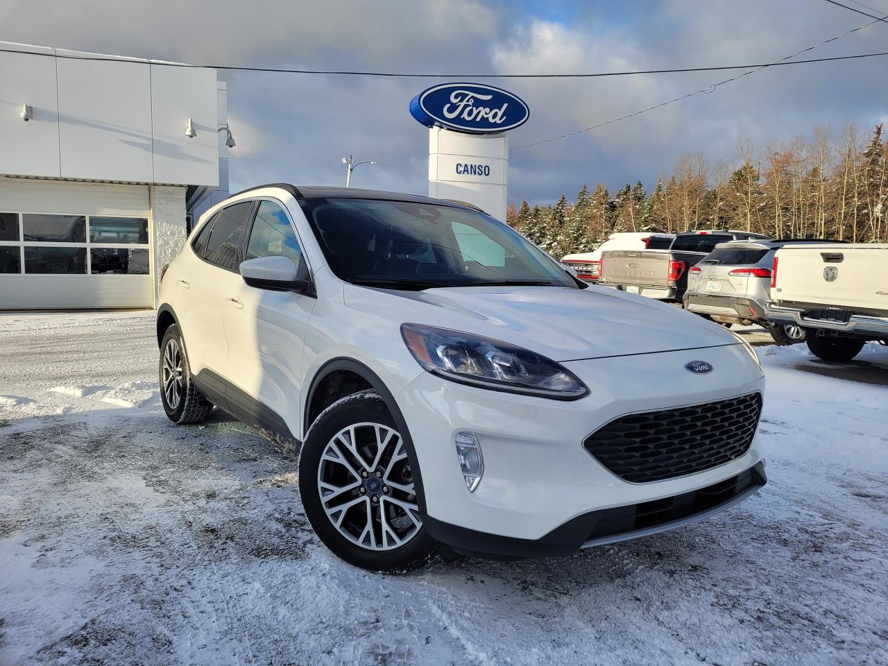 Used 2020 Ford Escape SEL AWD W/ LEATHER, MOONROOF for sale in Port Hawkesbury, NS
