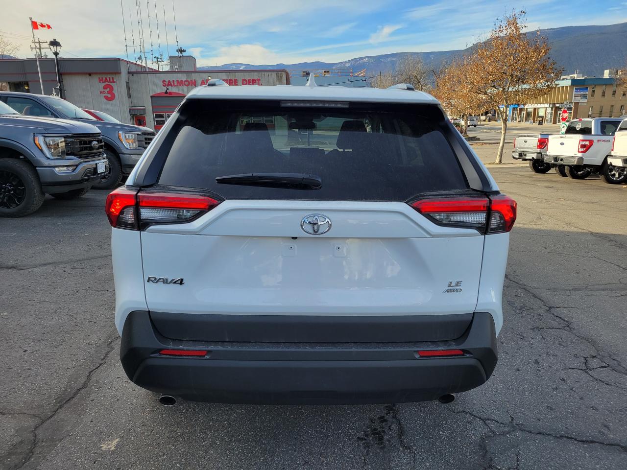 2021 Toyota RAV4 LE Photo5