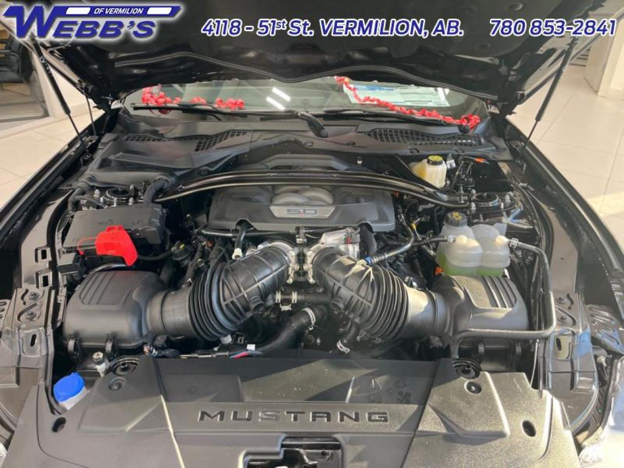 2024 Ford Mustang Dark Horse Photo5