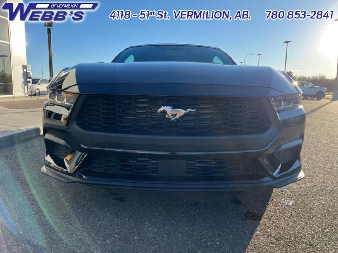2024 Ford Mustang EcoBoost Premium Photo5