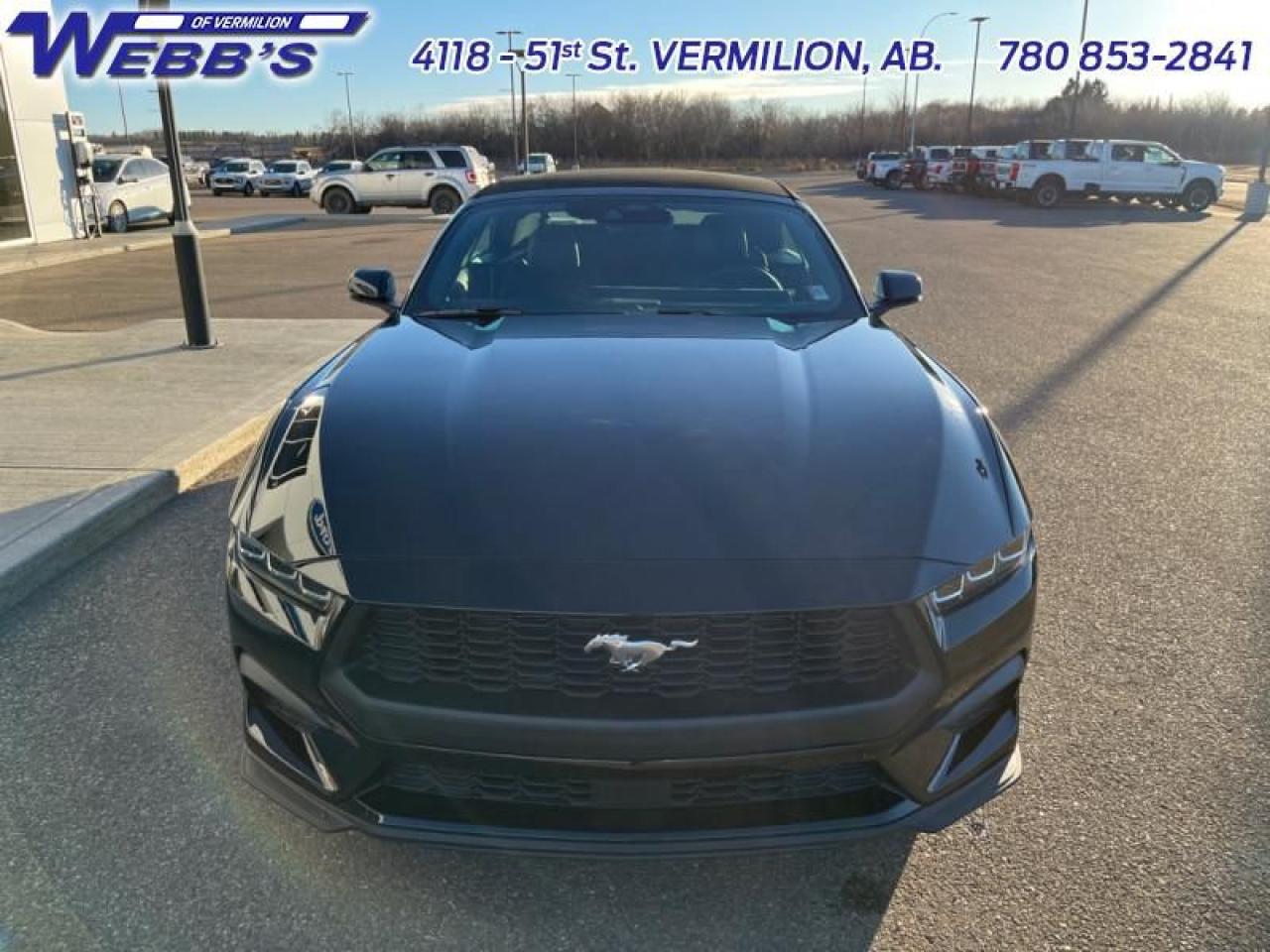 2024 Ford Mustang EcoBoost Premium Photo5