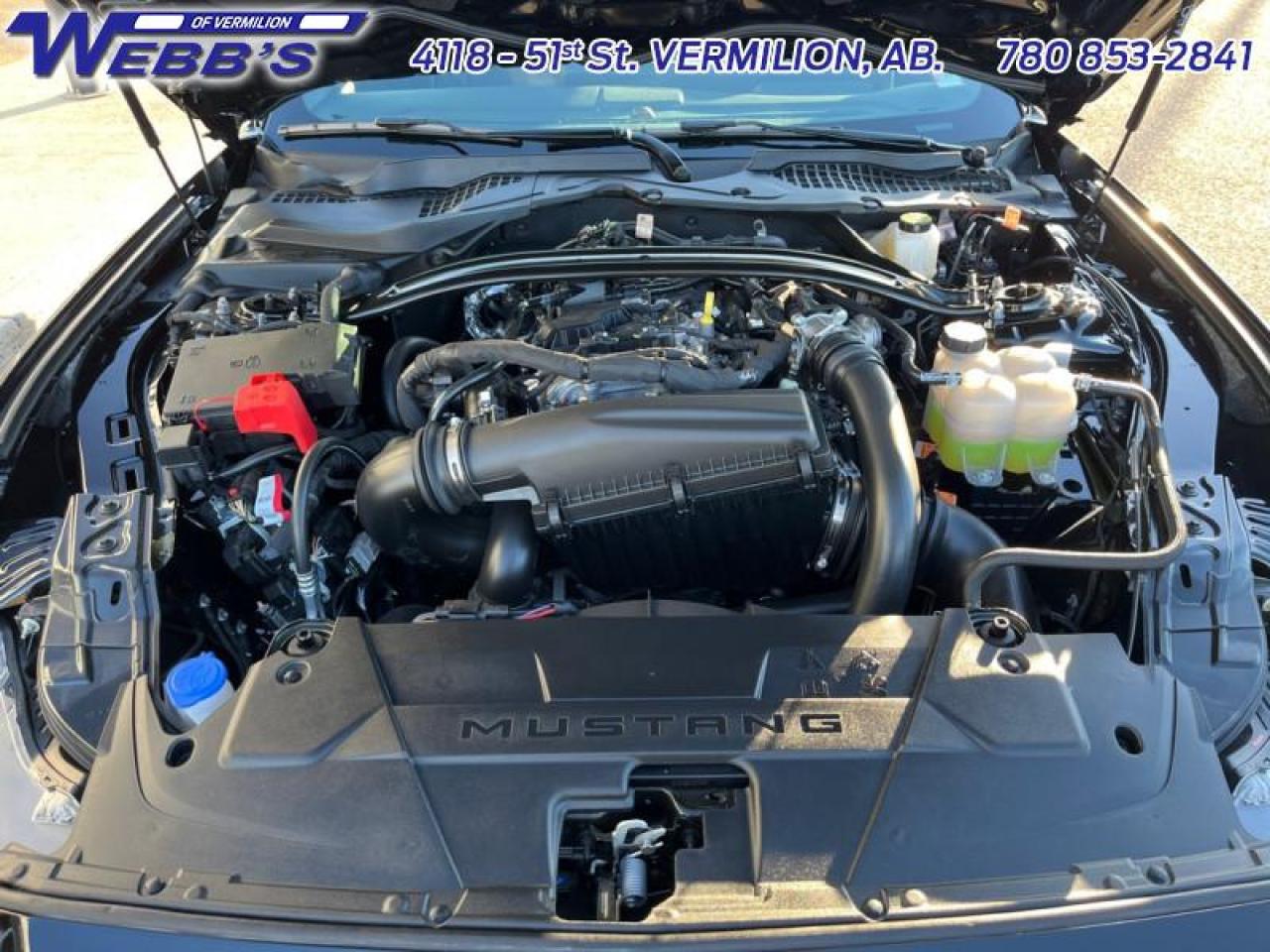 2024 Ford Mustang EcoBoost Premium Photo5