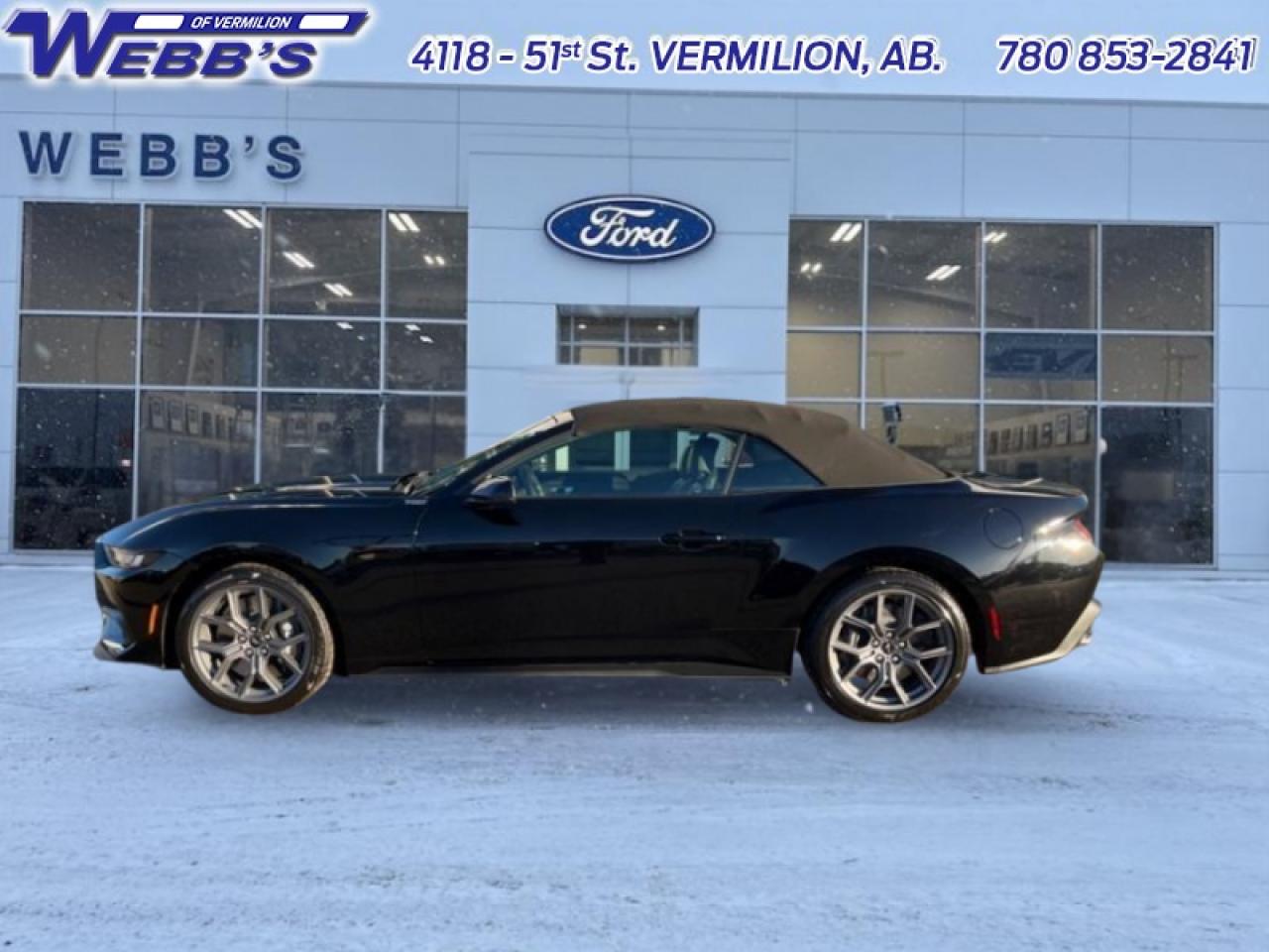 2024 Ford Mustang EcoBoost Premium Photo0