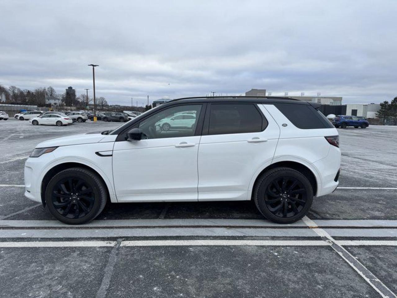 New 2023 Land Rover Discovery Sport R-Dynamic SE for sale in Halifax, NS