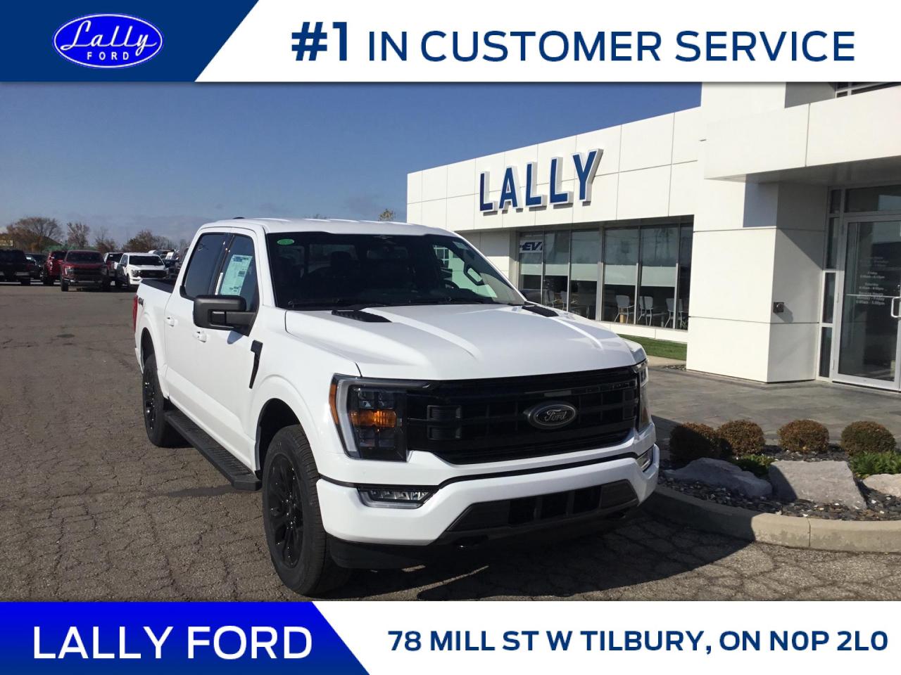 New 2023 Ford F-150 XLT for sale in Tilbury, ON