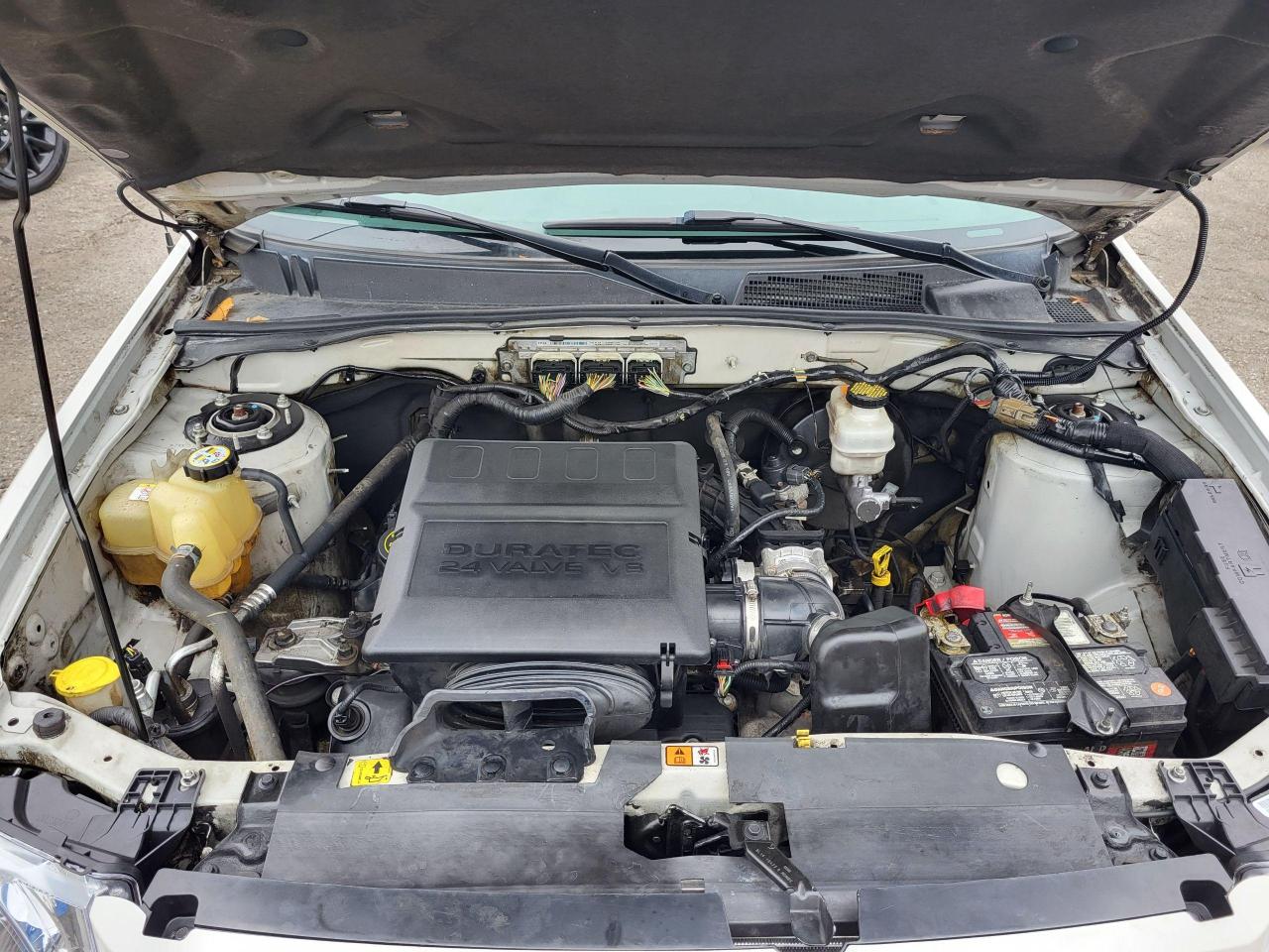 2010 Ford Escape LIMITED 4WD Photo