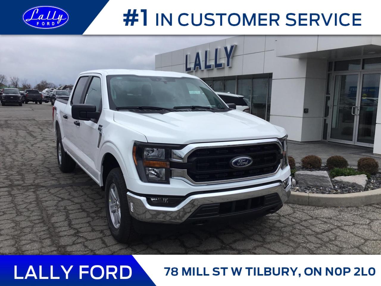 New 2023 Ford F-150 XLT for sale in Tilbury, ON