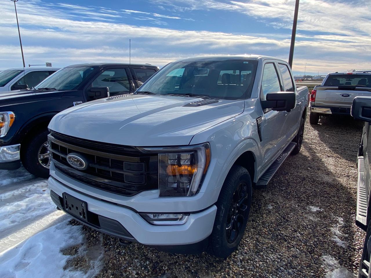 New 2023 Ford F-150 XLT 4WD SuperCrew 5.5' Box 302A for sale in Elie, MB