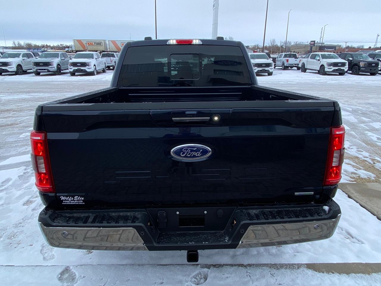 2023 Ford F-150 XLT 4WD SuperCrew 5.5' Box 302A Photo5