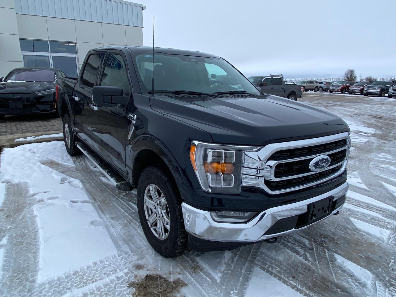 2023 Ford F-150 XLT 4WD SuperCrew 5.5' Box 302A Photo5