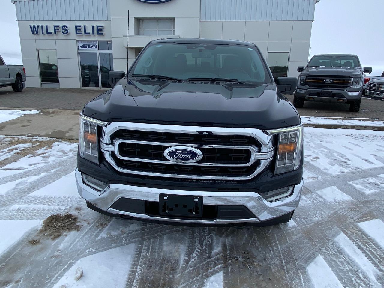 2023 Ford F-150 XLT 4WD SuperCrew 5.5' Box 302A Photo5