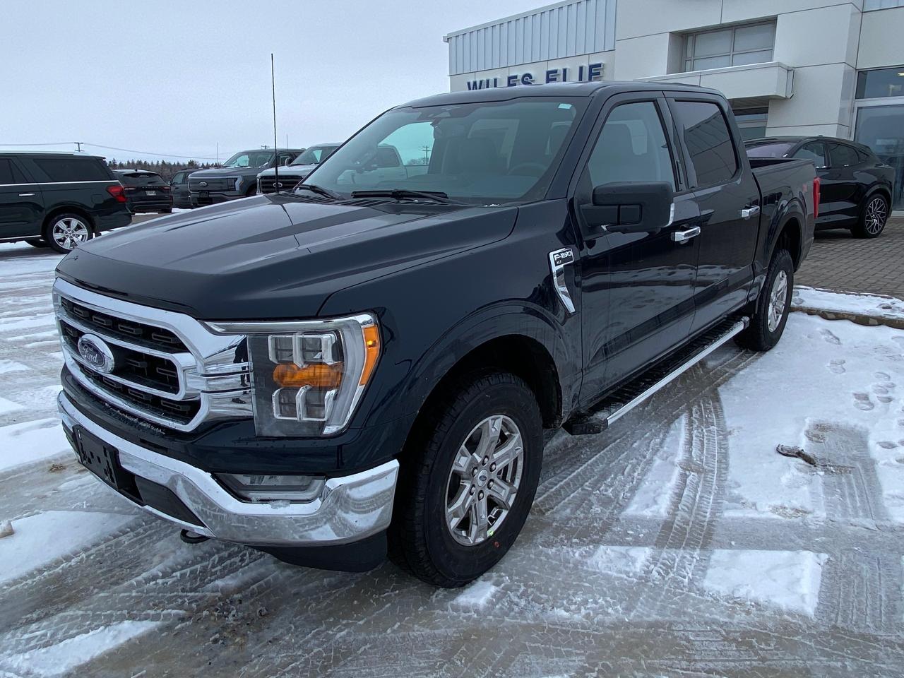 New 2023 Ford F-150 XLT 4WD SuperCrew 5.5' Box 302A for sale in Elie, MB