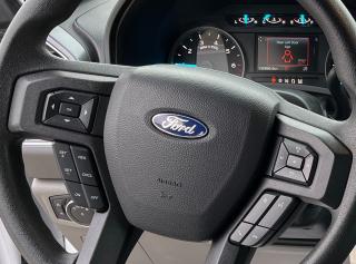 2019 Ford F-150 4x4 XLT SuperCrew Short Box - Photo #13