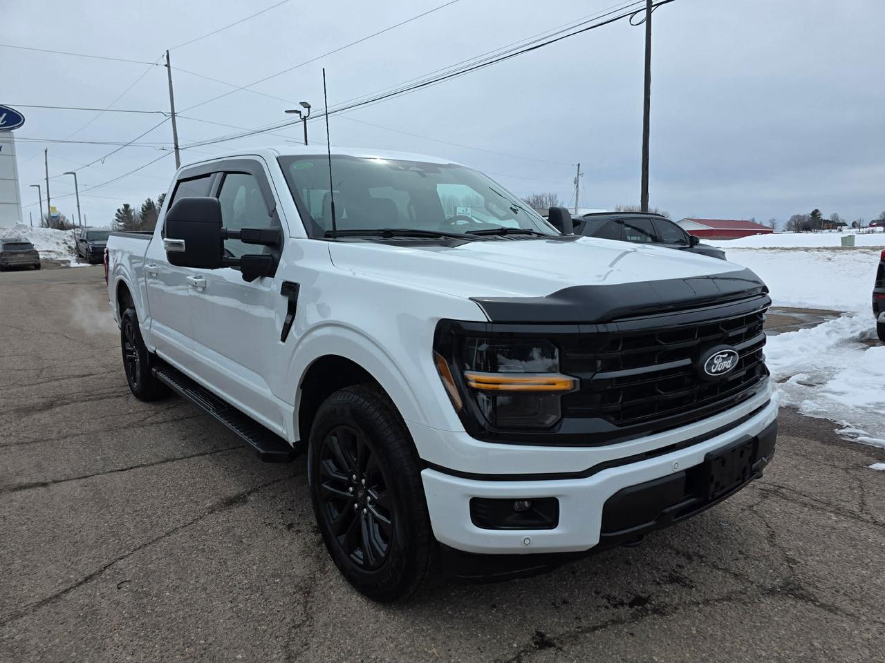 2024 Ford F-150 XLT Photo4