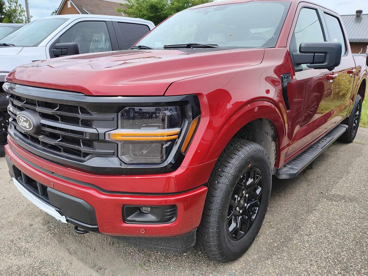 2024 Ford F-150 XLT Photo