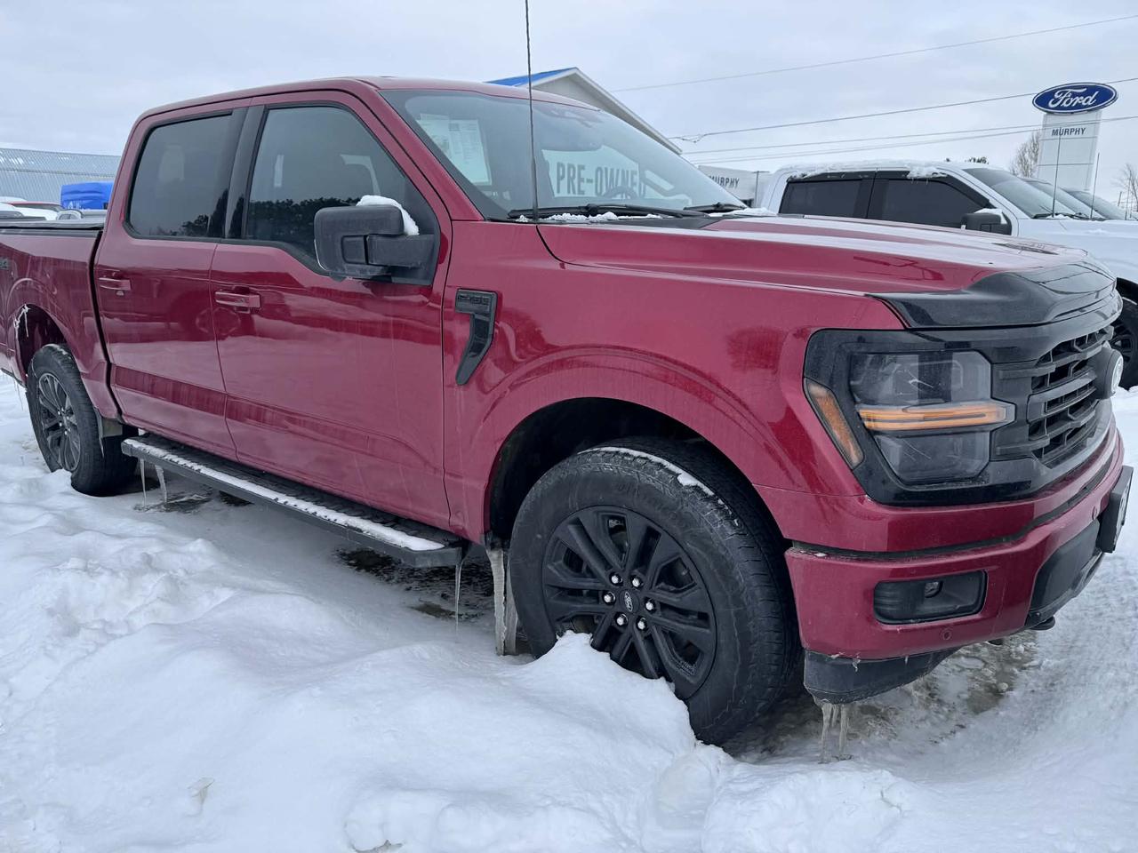 2024 Ford F-150 XLT Photo4
