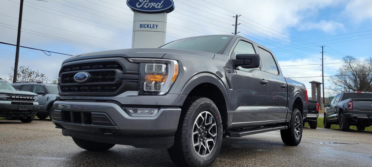 New 2023 Ford F-150 XLT for sale in Huntsville, ON