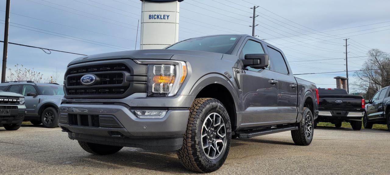 New 2023 Ford F-150 XLT for sale in Huntsville, ON