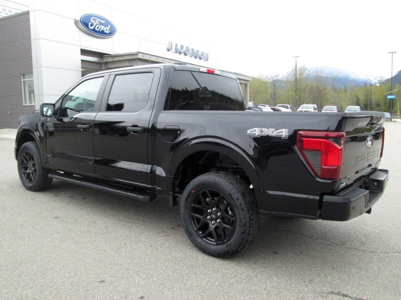 2024 Ford F-150 STX Photo5