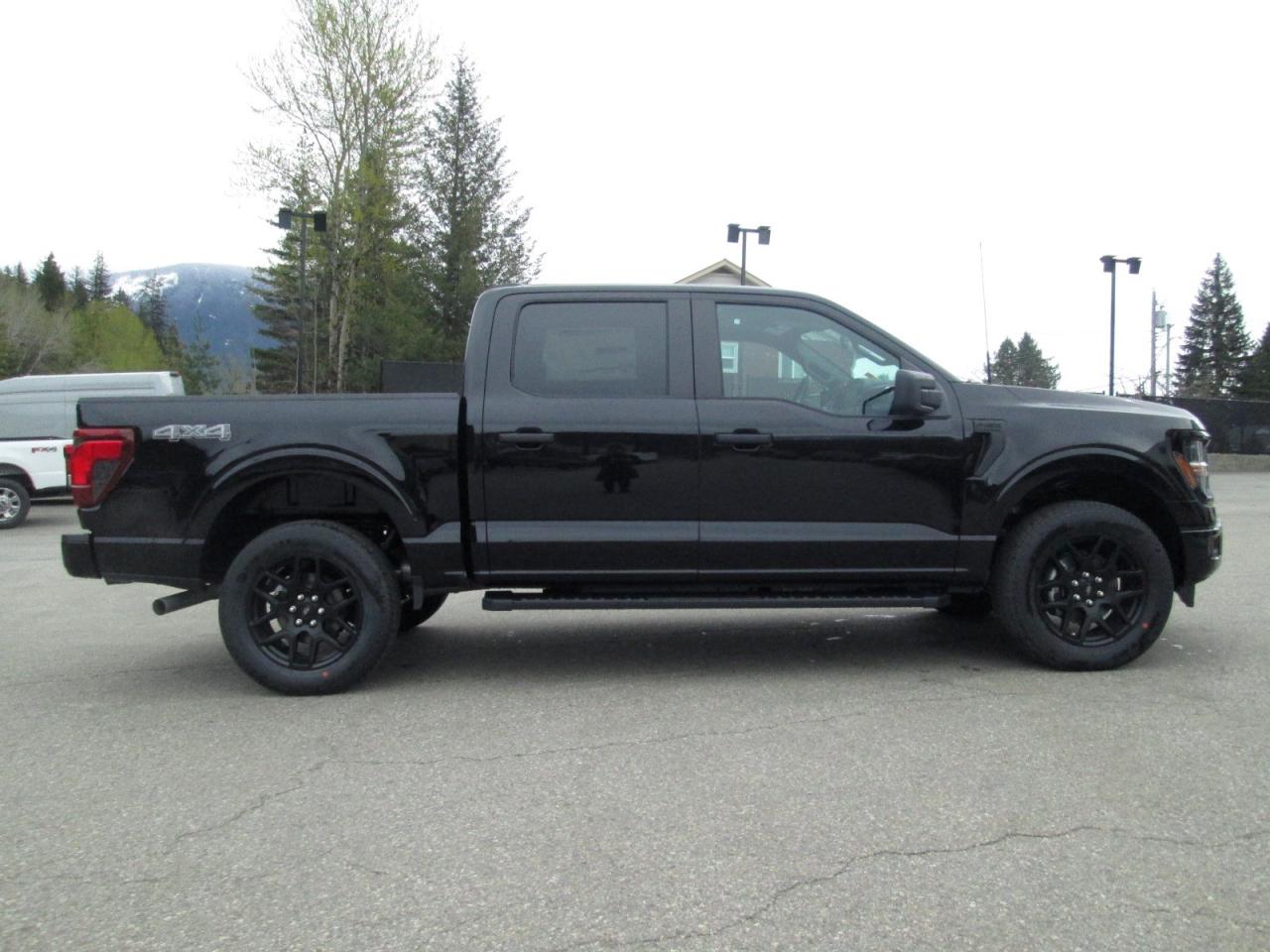 2024 Ford F-150 STX Photo5