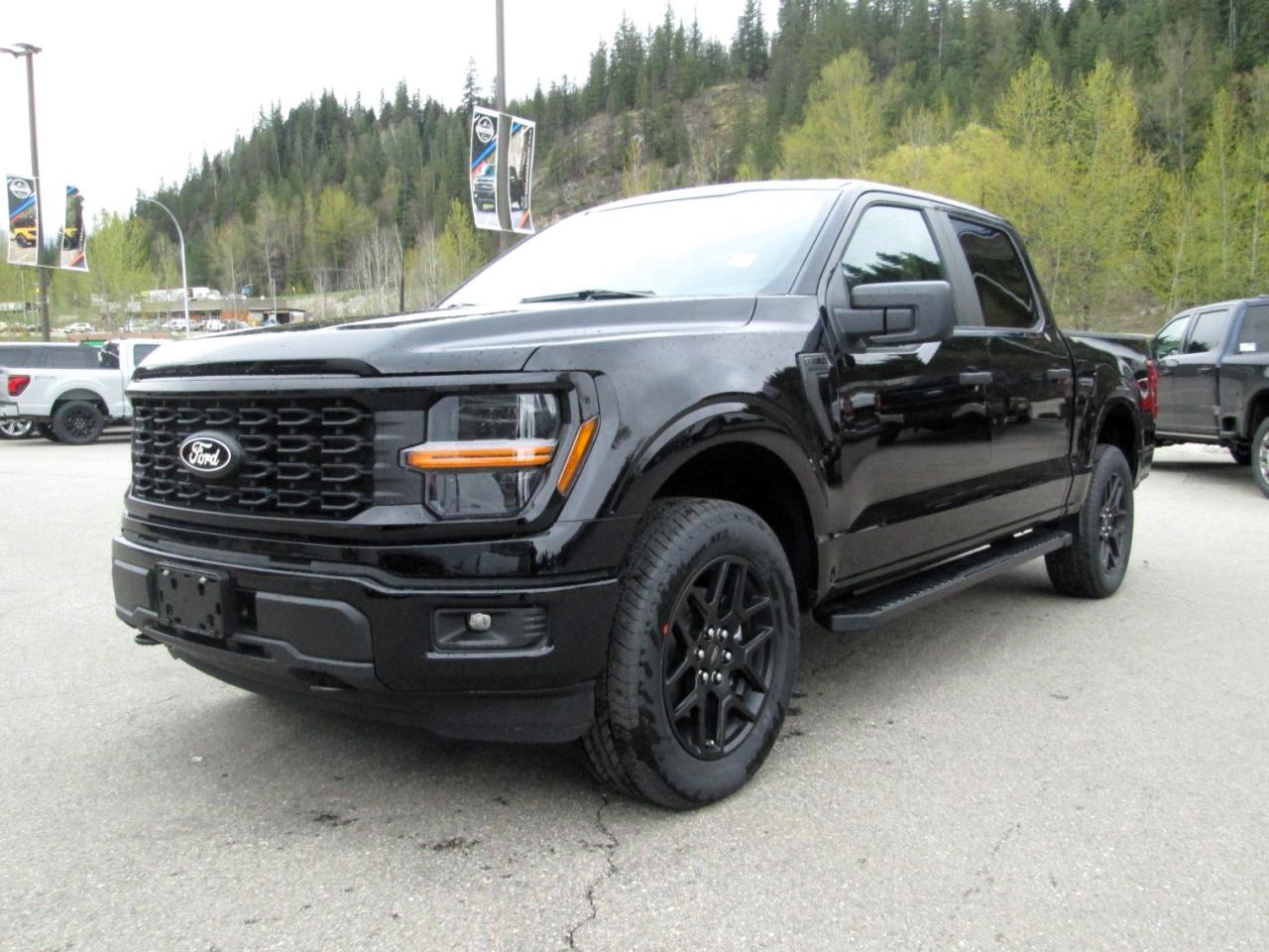 2024 Ford F-150 STX Photo5