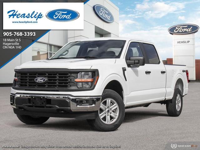 Image - 2024 Ford F-150 XL