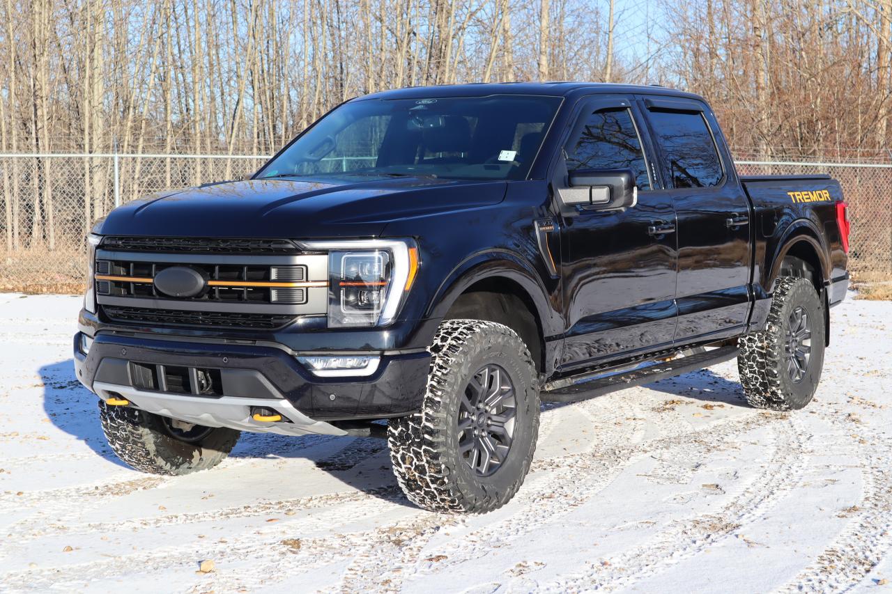 2022 Ford F-150 Tremor Photo0