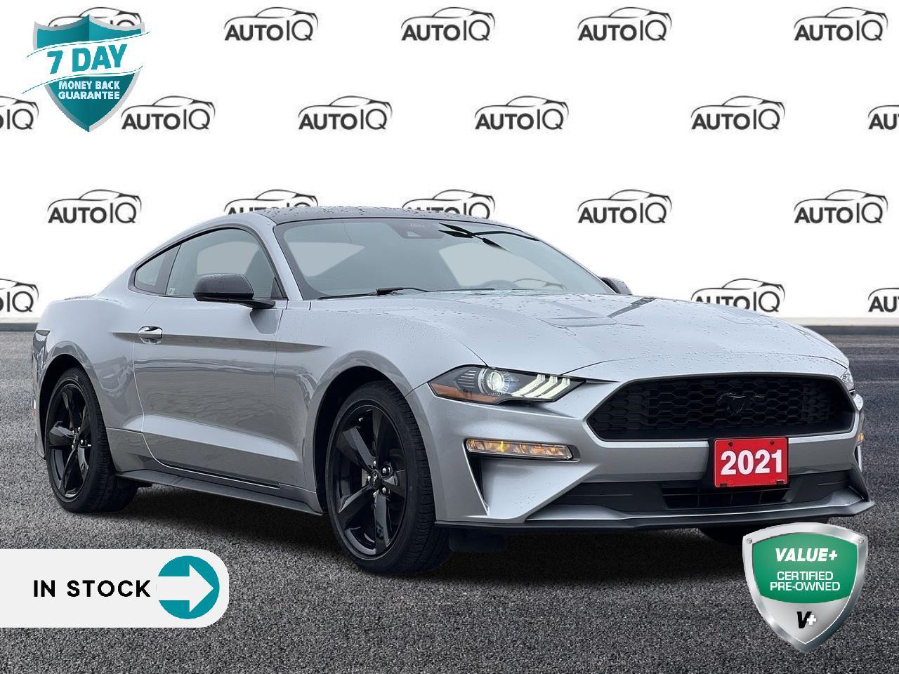 Used 2021 Ford Mustang EcoBoost AUTO | BLACK ACCENT PACKAGE | ADAPTIVE CRUISE for sale in Kitchener, ON