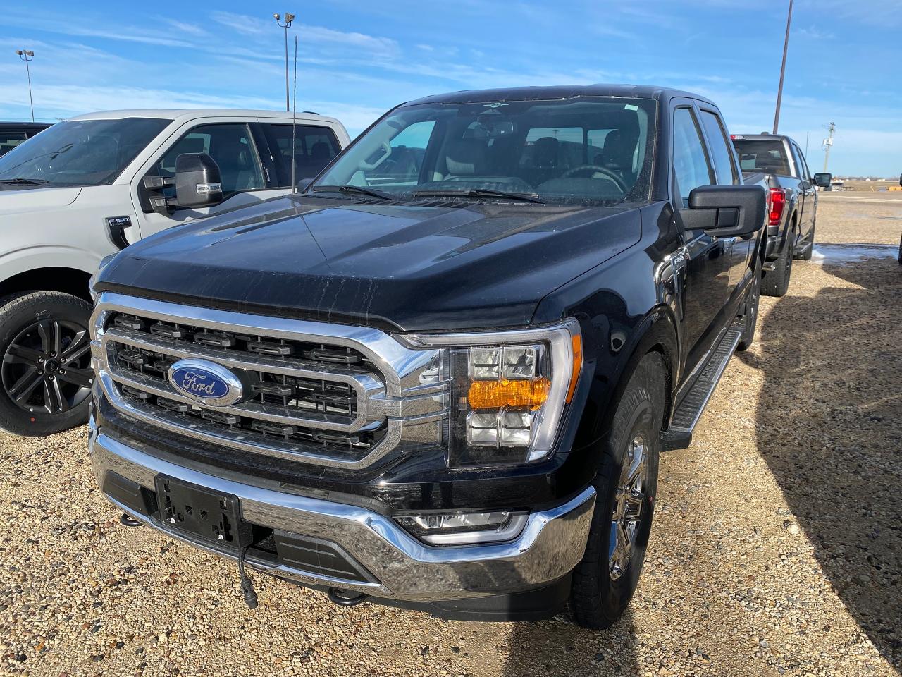 New 2023 Ford F-150 XLT 4WD SuperCrew 6.5' Box 302A for sale in Elie, MB