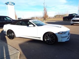 Used 2021 Ford Mustang  for sale in Lacombe, AB